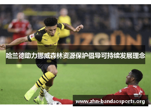 哈兰德助力挪威森林资源保护倡导可持续发展理念 哈兰德助力挪威森林资源保护倡导可持续发展理念