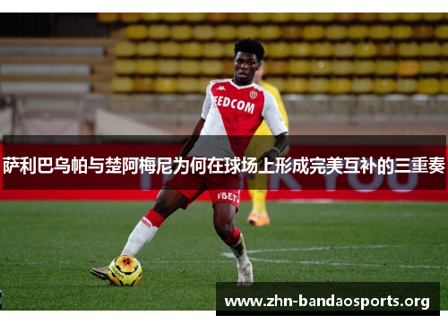 萨利巴乌帕与楚阿梅尼为何在球场上形成完美互补的三重奏 萨利巴乌帕与楚阿梅尼为何在球场上形成完美互补的三重奏