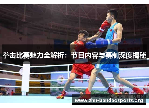 拳击比赛魅力全解析:节目内容与赛制深度揭秘 拳击比赛魅力全解析:节目内容与赛制深度揭秘