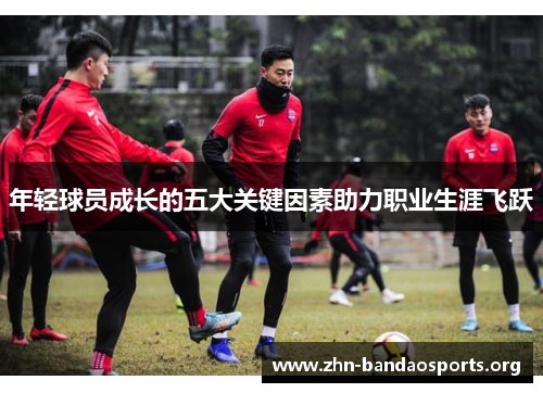 年轻球员成长的五大关键因素助力职业生涯飞跃 年轻球员成长的五大关键因素助力职业生涯飞跃