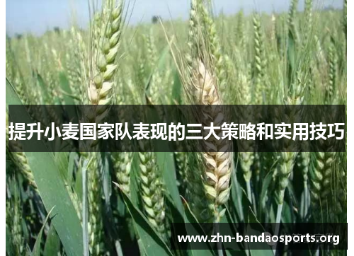 提升小麦国家队表现的三大策略和实用技巧 提升小麦国家队表现的三大策略和实用技巧