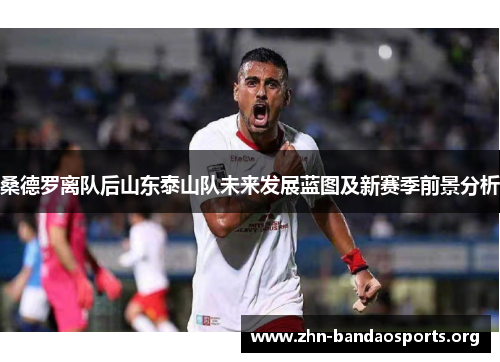 桑德罗离队后山东泰山队未来发展蓝图及新赛季前景分析 桑德罗离队后山东泰山队未来发展蓝图及新赛季前景分析
