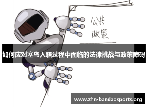 如何应对塞鸟入籍过程中面临的法律挑战与政策障碍 如何应对塞鸟入籍过程中面临的法律挑战与政策障碍