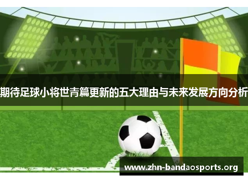 期待足球小将世青篇更新的五大理由与未来发展方向分析