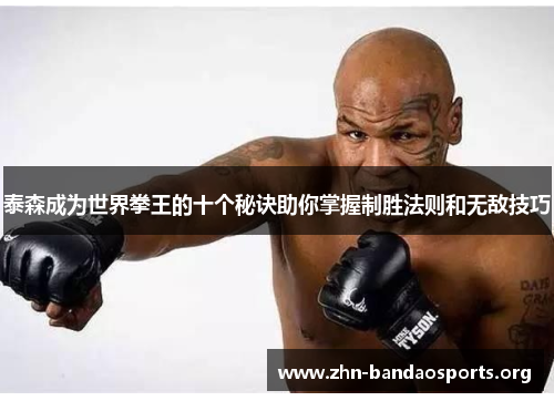 泰森成为世界拳王的十个秘诀助你掌握制胜法则和无敌技巧 泰森成为世界拳王的十个秘诀助你掌握制胜法则和无敌技巧