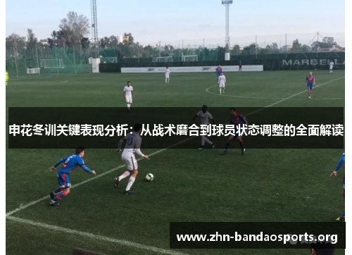 申花冬训关键表现分析:从战术磨合到球员状态调整的全面解读 申花冬训关键表现分析:从战术磨合到球员状态调整的全面解读