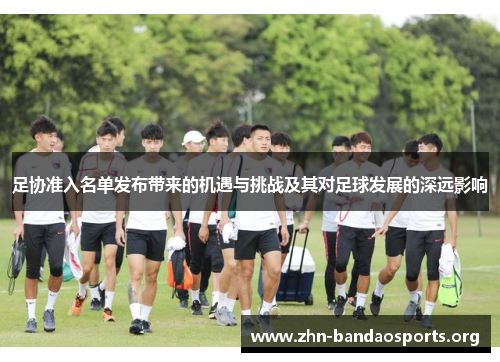 足协准入名单发布带来的机遇与挑战及其对足球发展的深远影响 足协准入名单发布带来的机遇与挑战及其对足球发展的深远影响